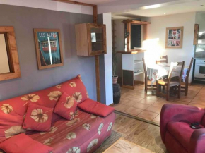 Appartement 50m2 proche du centre Praz sur arly